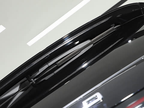 2025�� ���� 265 Max��������������ʻ