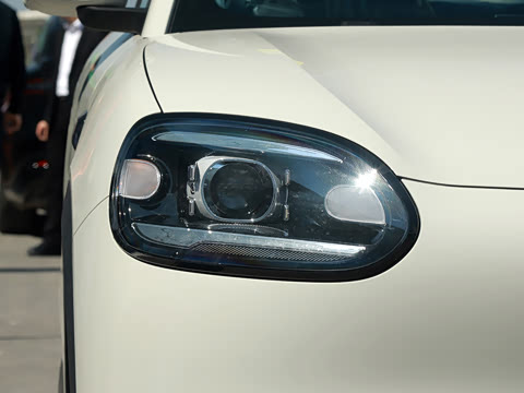 2026�� 310�Ȱ���