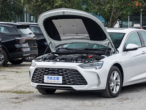 2025�� 25T ������