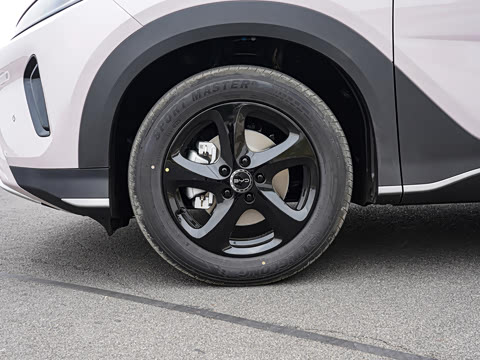 2026�� DM-i 220������