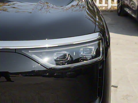 2025�� ���� Max+ ���������� 