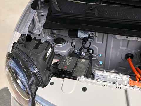 2026�� ����� 301km ���׿�