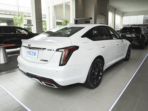 2025�� 28T �������ܰ�