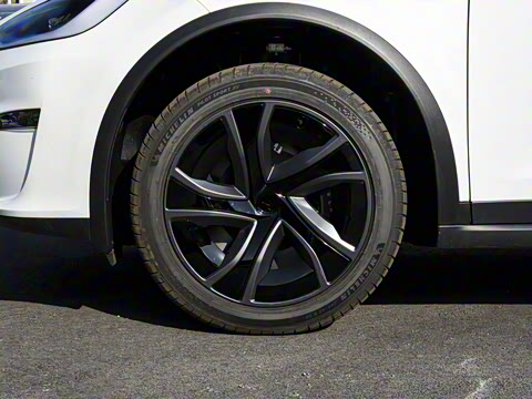 2026�� ˫���ȫ��������