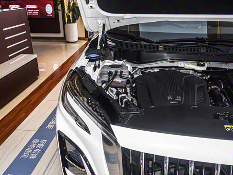 2024�� 115km ��Ϊ��