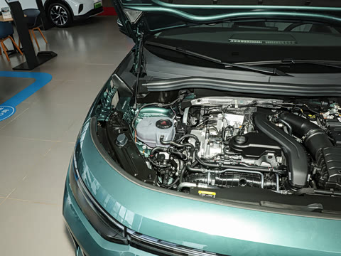 2025�� ̽��L 300TSI ������Ӣ