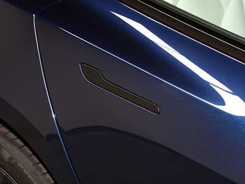 2025�� �Ŀ� ����������