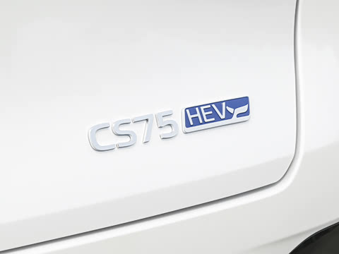 2026�� ���Ĵ� 1.5T �������� �콢��