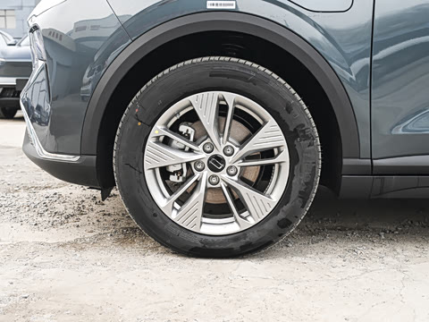 2025�� 565km ������