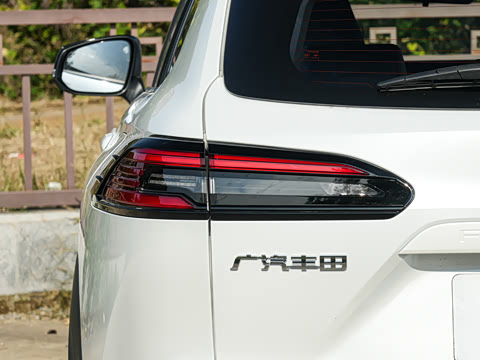 2026�� 2.0L ���ܵ��˫�� ������