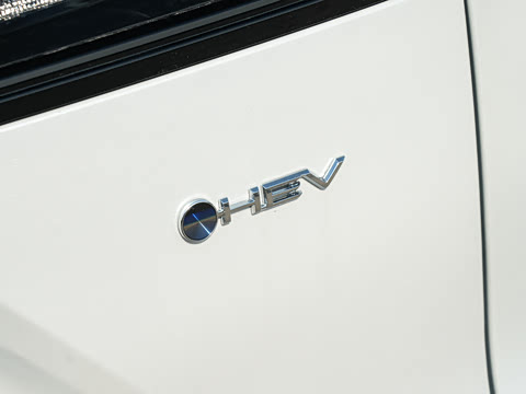 2026�� 2.0L ���ܵ��˫�� ������