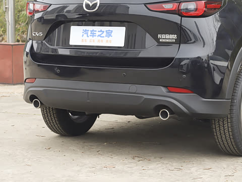 2025�� 2.0L �Զ�����������