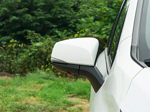 2026�� 2.5L ˫������������