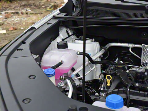 2026�� �ǻ۹ھ��� 1.5T ������ ������