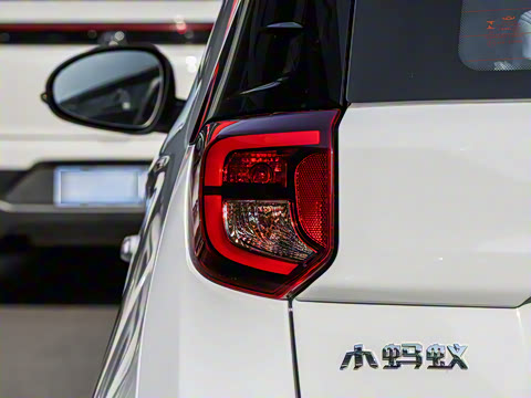 2026�� 271km �氮��