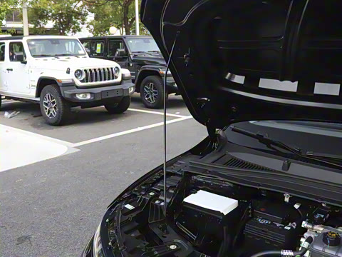 2025�� 550������