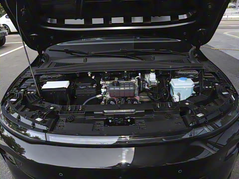 2025�� 550������