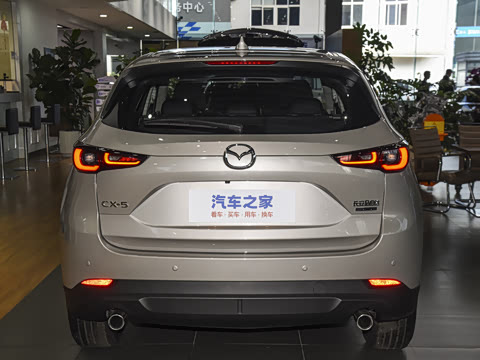 2025�� 2.0L �Զ�����������