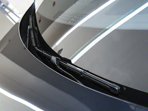 2025�� ���� Max+ ������������ 