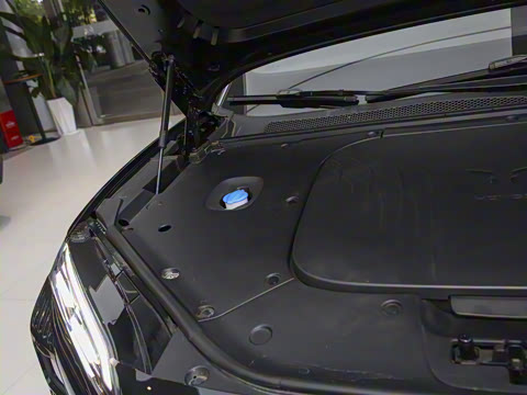 2025�� 520 Max������