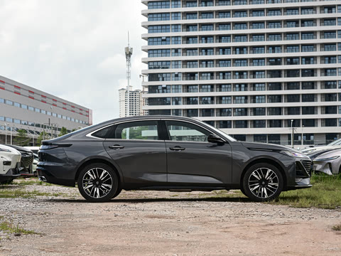 2026�� 1.5L �������� ������