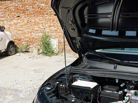 2025�� 650�����״��