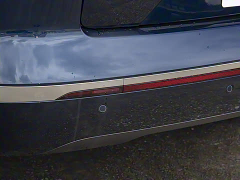 2025�� 750 Max���������״��