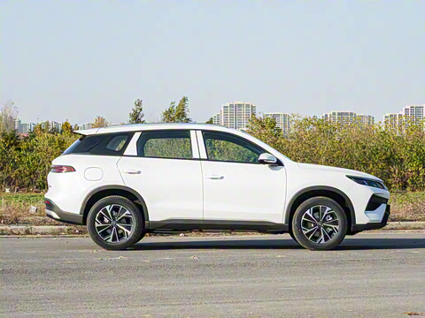 2026�� DM-i 133KM��ȡ��