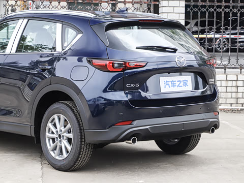 2025�� 2.0L �Զ���������Pro
