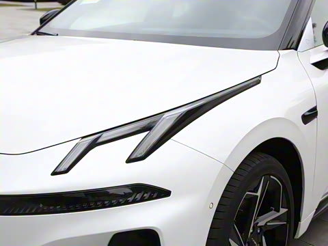 2026�� 126������ Max