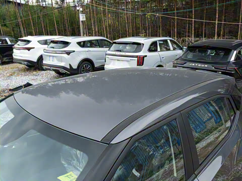 2026�� Ӱ�� 270T ��ȡ��