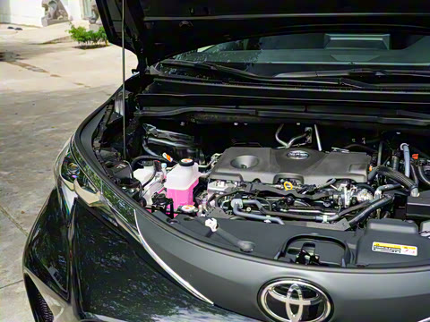 2026�� 2.5L�춯 ���ʰ�