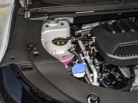 2026�� 1.5TD ˫��Ϻ��� 5��