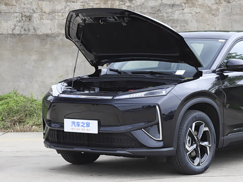 2026�� 530Խ����