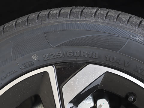 2026�� 530Խ����