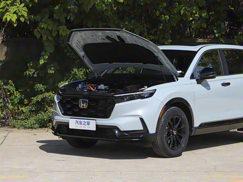 2026�� ȫ��30����ҫ�� 2.0L e:HEV ����������