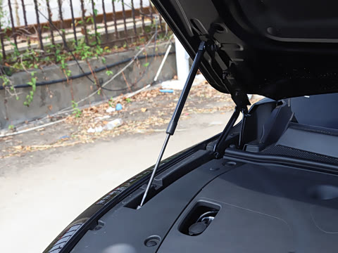 2025�� ���� 230Pro�캽��