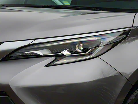 2026�� 2.5L ˫��������������