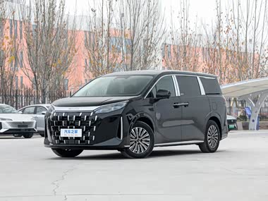 BYD M9