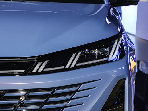 2026�� 1.5L ��϶���