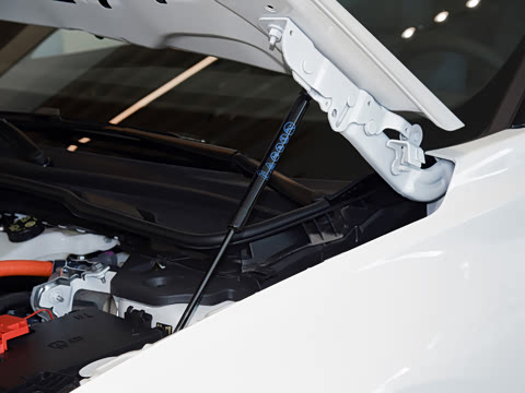2026�� 2.0T EcoBoost E �춯 �˶���