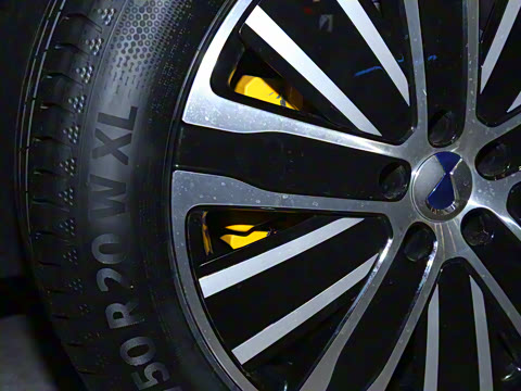 2025�� ������