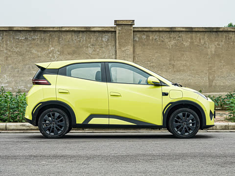2026�� 305km ���ɰ�