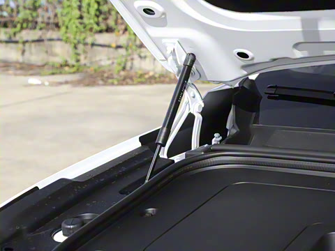 2026�� �������������