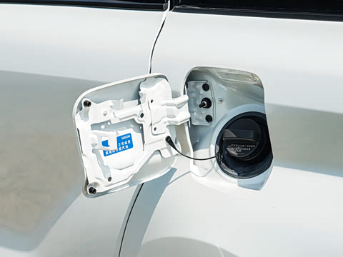 2026�� 2.5L ˫������������