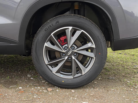 2026�� 1.5T DCT �˶�������