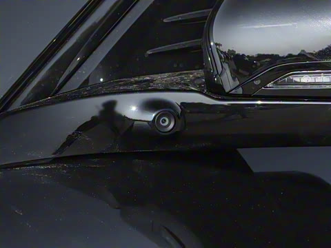 2025�� FREE+ ����Ǭ����