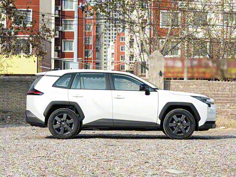 2026�� ˫�� 2.5L ����������