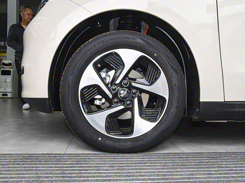 2025�� 505km ������