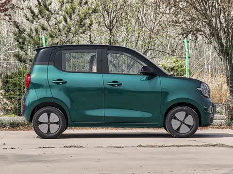 2026�� ����� 205km ���׿�